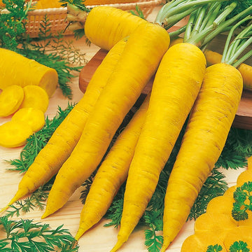Yellow carrot (2 lbs)